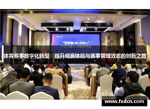 体育赛事数字化转型：提升观赛体验与赛事管理效率的创新之路