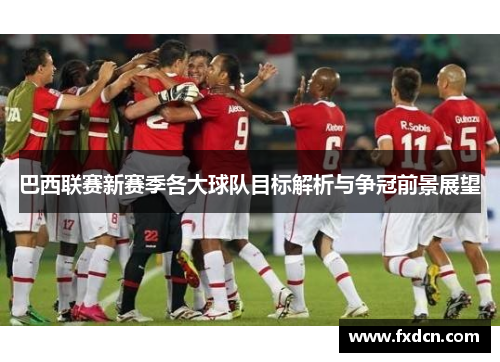 巴西联赛新赛季各大球队目标解析与争冠前景展望